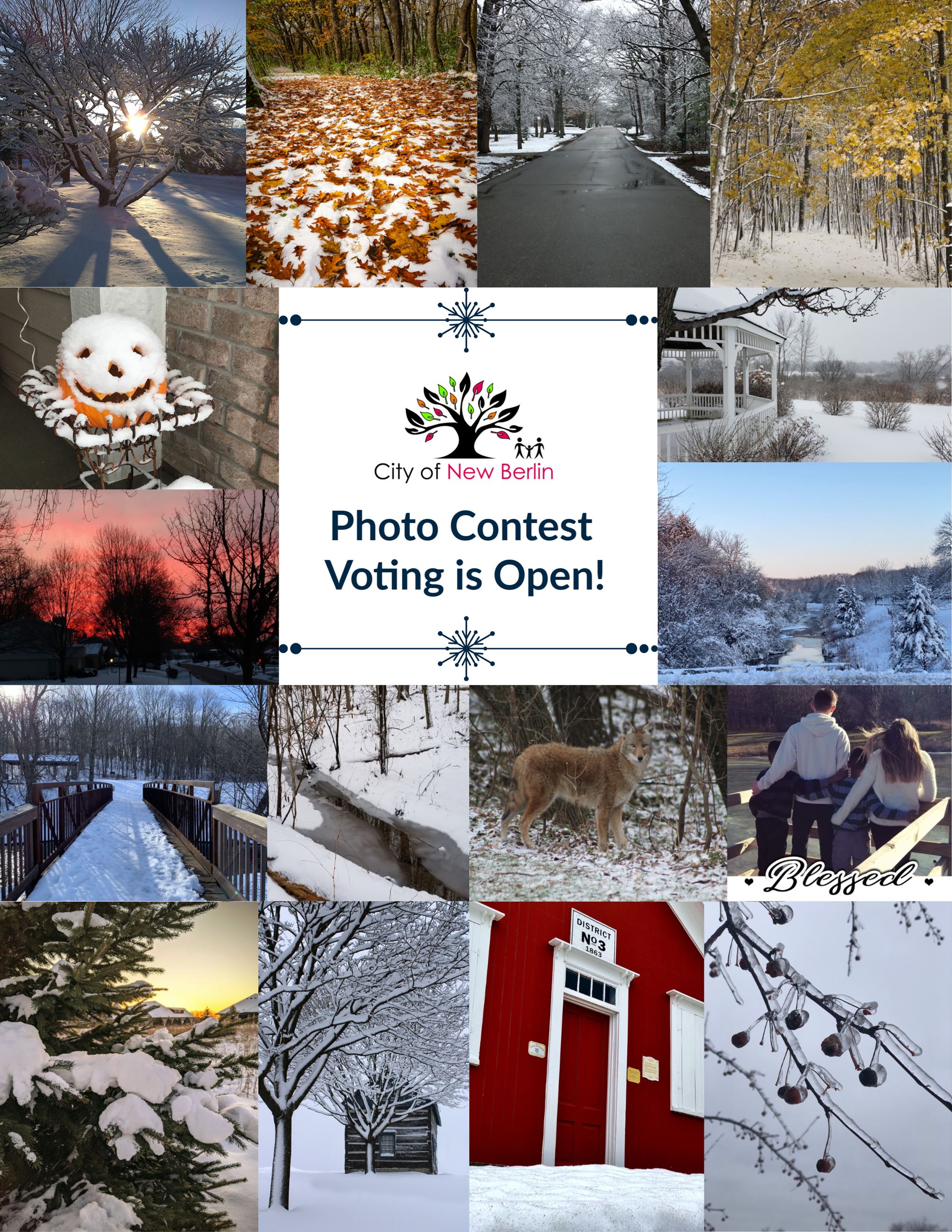Photo Contest Vote
